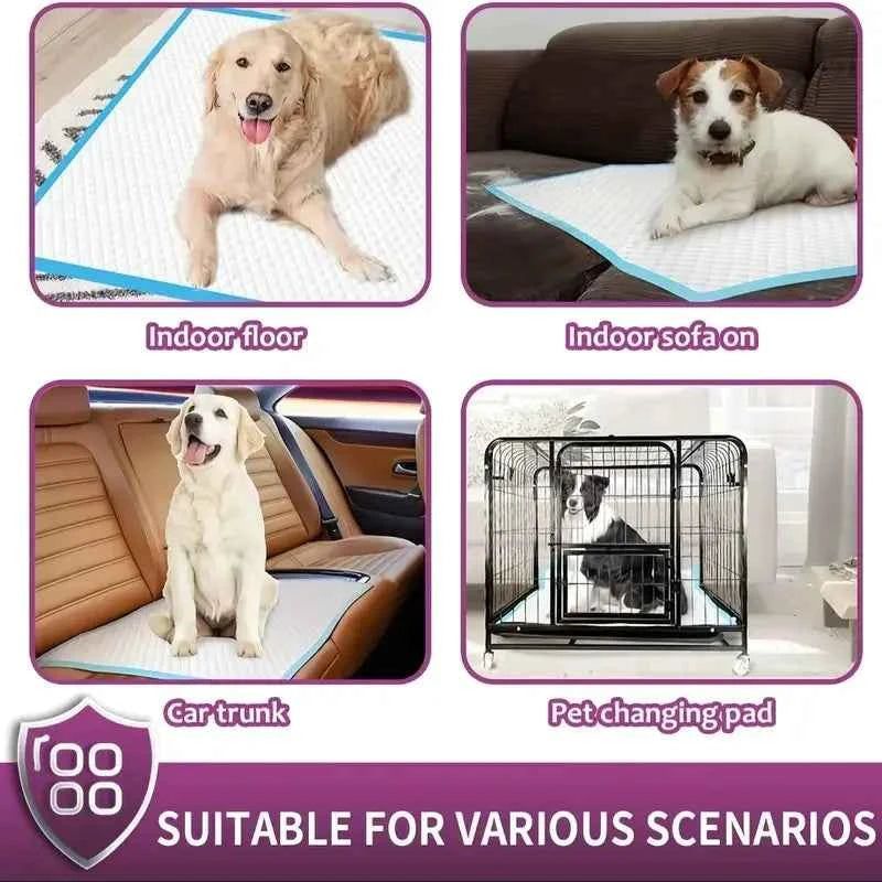 XXL Dog Pee Pads – Premium Disposable Training Pads with Super Absorbency & Leak‑Proof Lining