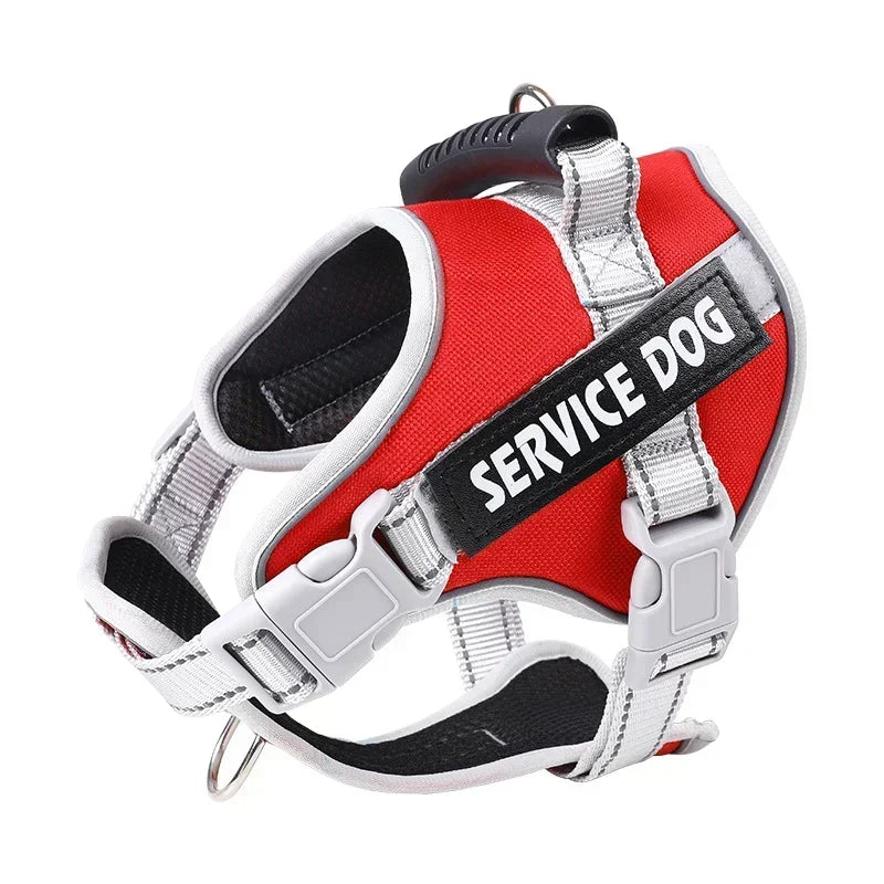 Reflective Custom Dog Harness – Add Pet Name & Phone Number