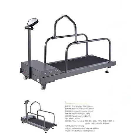 Automatic Dog Treadmill – Indoor Pet Exercise & Training Machine