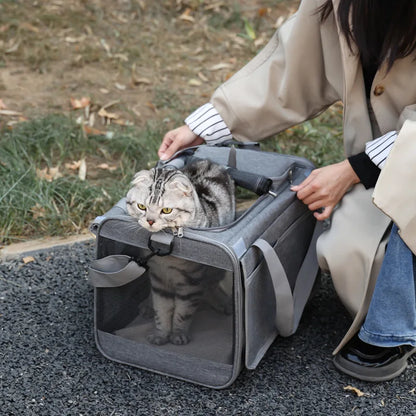 Portable Expandable Pet Travel Bag Soft-Sided Transparent Breathable Lightweight Handheld or Crossbody Outdoor Pet Bag Stylish