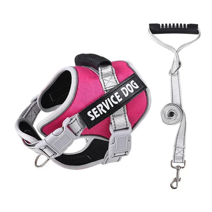 Reflective Custom Dog Harness – Add Pet Name & Phone Number