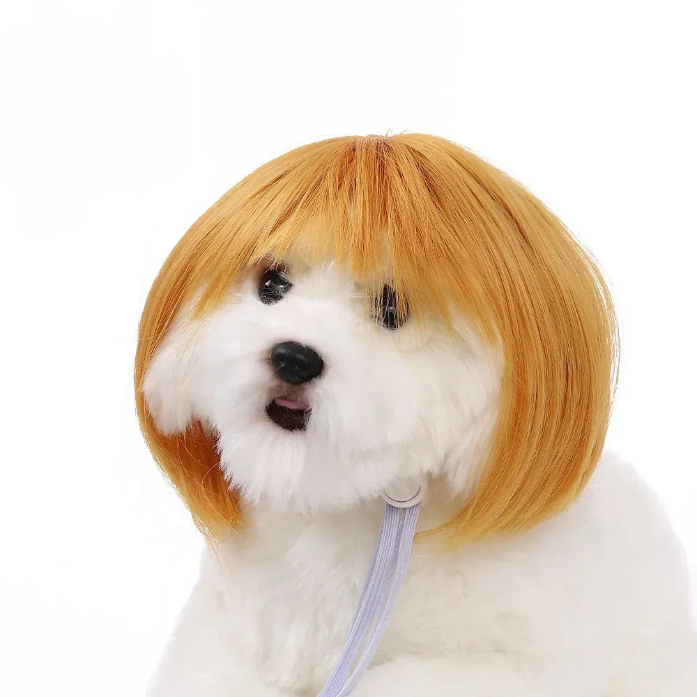 Curly Hair Pet Wig for Dogs & Cats