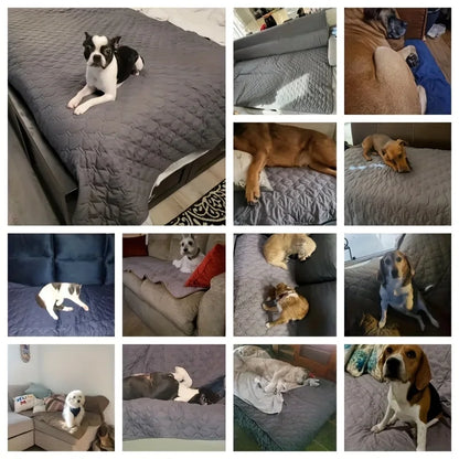 Waterproof Dog Blanket for Couch & Bed – Double-Sided Reversible Furniture Protector