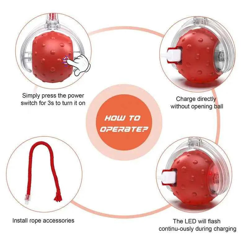 Smart Cat Toy