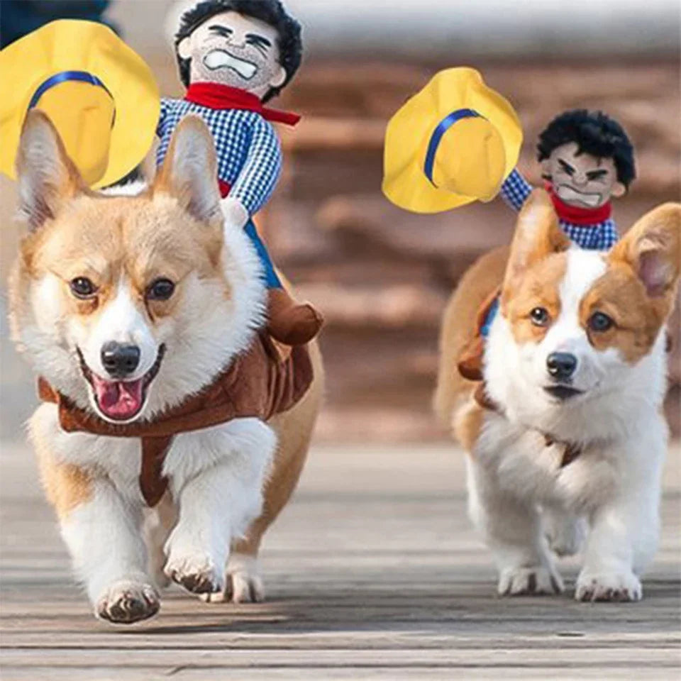 Cowboy Dog Halloween Costume with Jacket