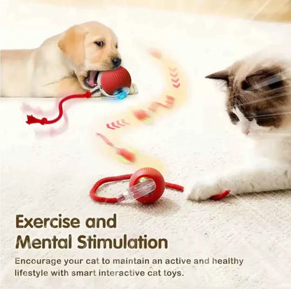 Interactive Electric Cat Toy Ball – Battery Included, Durable Plastic Play Ball