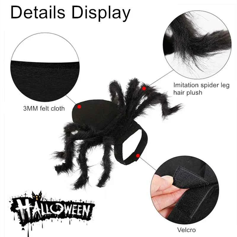 Spider Halloween Costume for Dogs & Cats