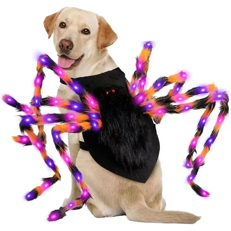 LED Light-Up Spider Dog Halloween Costume