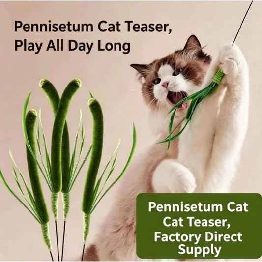 1pc Green Bristle Grass Cat Toy Wand. Long Stick Durable Chew Interactive Toy. Handheld Self Play Boredom Relief Pet Supplies for Kitty.