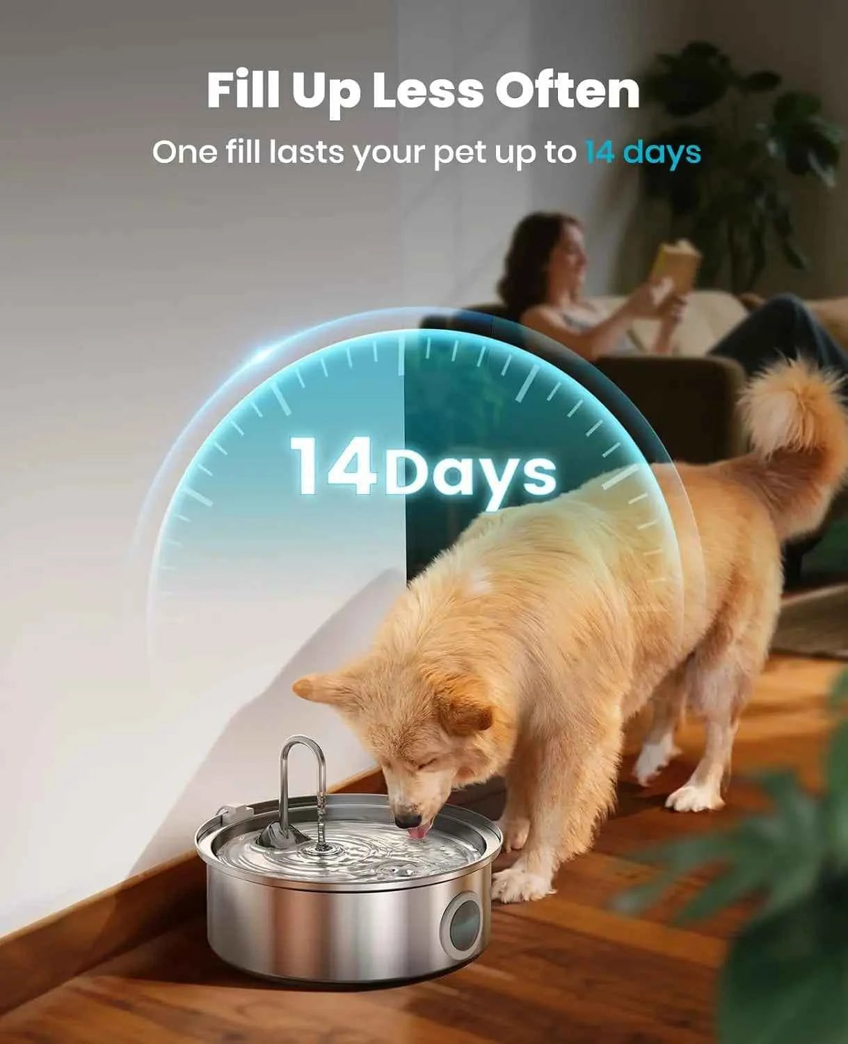 7L Stainless Steel Dog Water Fountain, Quiet Pump & Triple Filtration for Pets