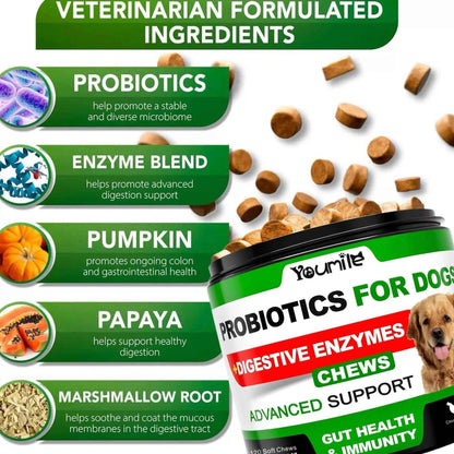 Probiotics for Dogs – 120 Chews Digestive Support for Gut Health & Sensitive Stomach