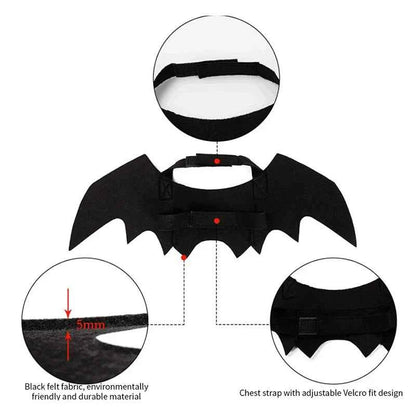 Bat Wing Cat & Dog Halloween Costume