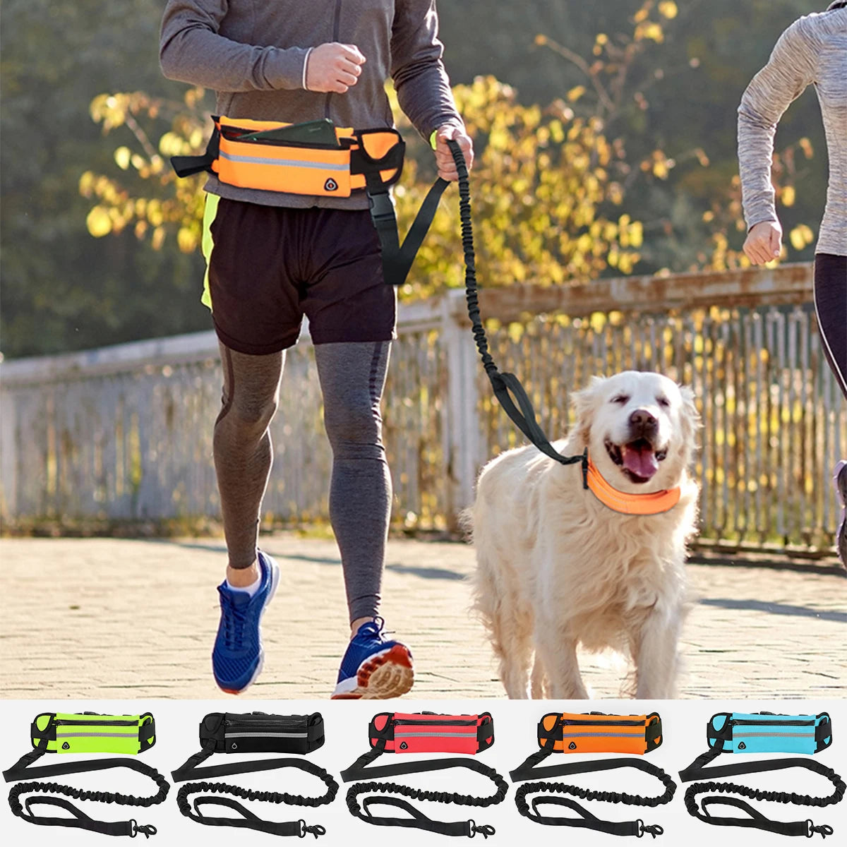 Hands Free Reflective Dog Leash with Waist Bag – Running & Walking Nylon Belt