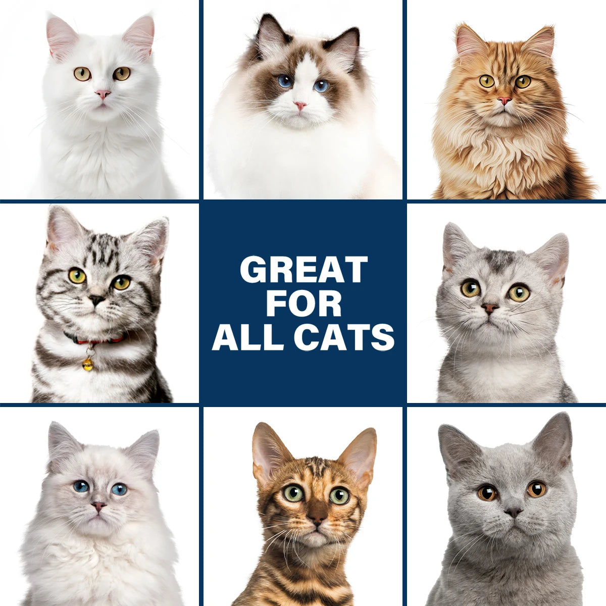 Gentle Mild Cat Shampoo - Non-Irritating Skin-Friendly, Moisturizing Deodorizing, Nourishing Softening for Healthy Shiny Fur