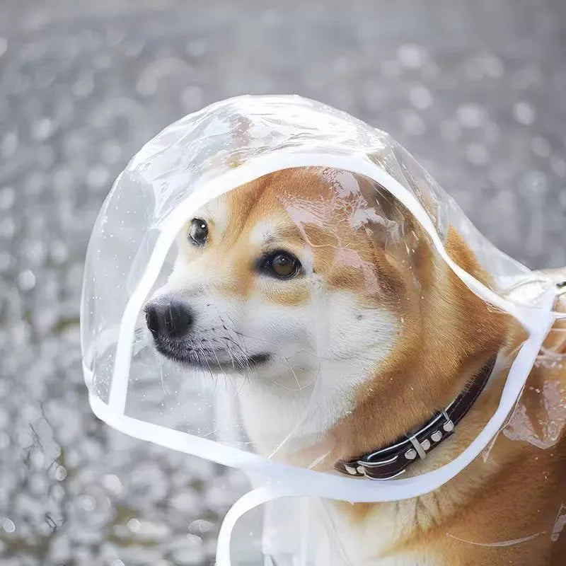 Transparent Waterproof Dog Raincoat – Windproof Pet Rain Jacket for Small, Medium & Large Dogs (XS–8XL