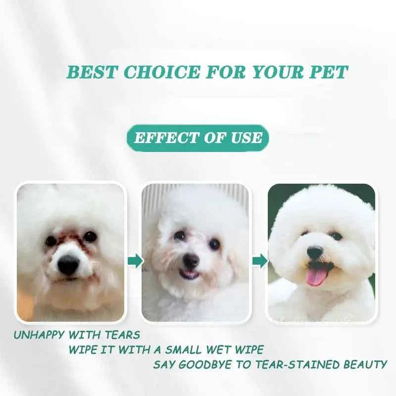 Pet Eye Cleaning Wet Wipes – Dirt & Bacteria Removal for Cats & Dogs