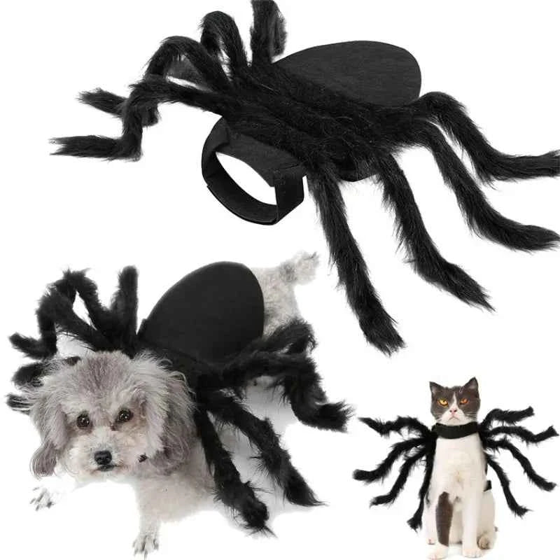 Spider Halloween Costume for Dogs & Cats