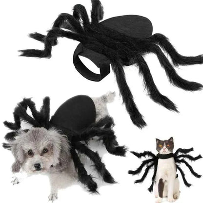 Spider Halloween Costume for Dogs & Cats