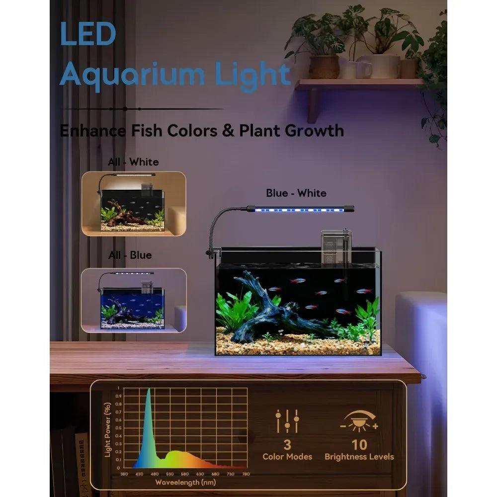 5-Gallon Glass Aquarium Starter Kit – LED Light, Filter & Lid for Betta, Shrimp & Small Fish