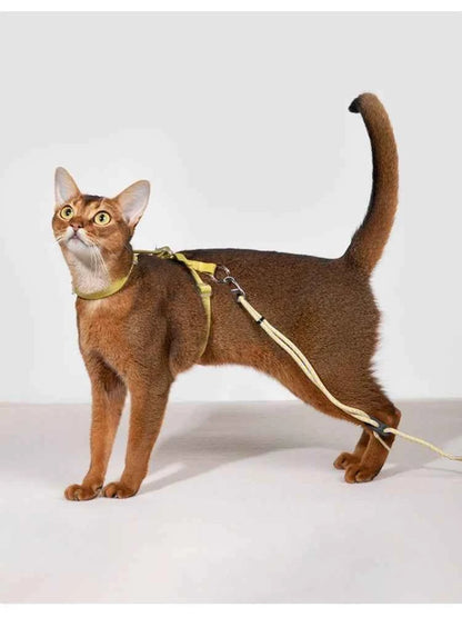 Adjustable H-Style Cat Harness Set, 38g Lightweight Escape Proof Breathable Kitten, Reflective & 120-160cm Leash