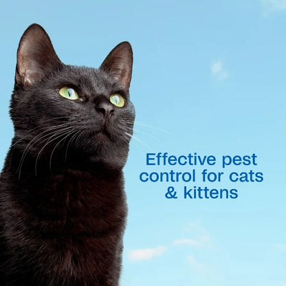 Flea & Tick Foaming Shampoo & Wash for Cats & Kittens Over 12 Weeks, Sensitive Skin Flea Treatment for Cats & Kittens