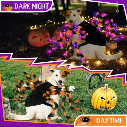 LED Light-Up Spider Dog Halloween Costume