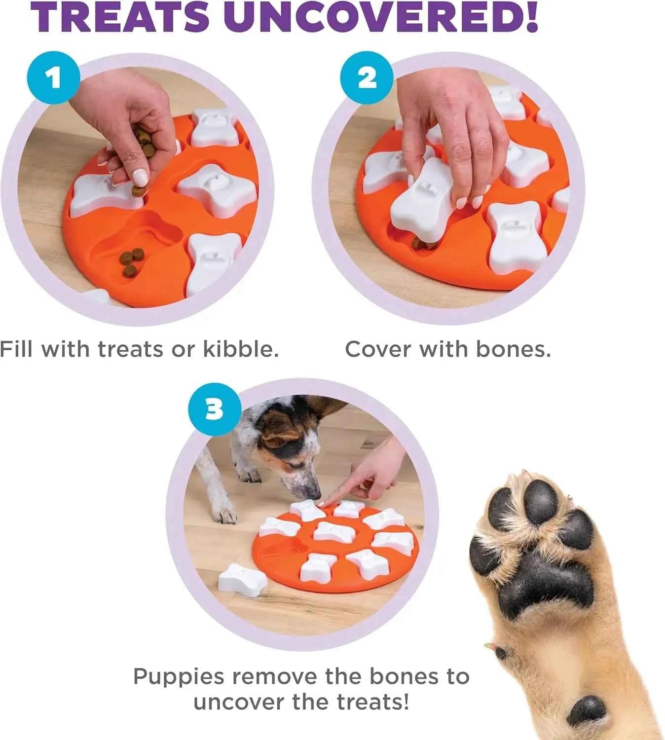Level 1 Dog Treat Puzzle Toy – Beginner Interactive Mental Stimulation Game