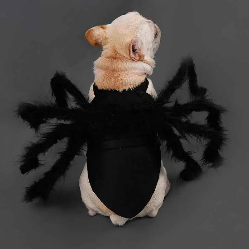 Spider Halloween Costume for Dogs & Cats