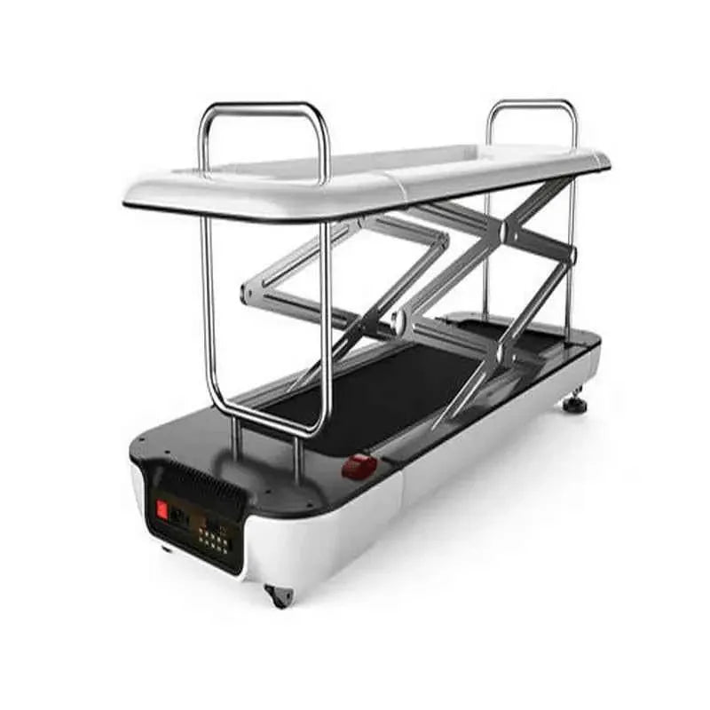 Dog Treadmill for Small & Medium Dogs – Adjustable Speed Indoor Exercise Machine