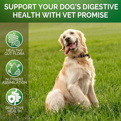 Probiotics for Dogs – 120 Chews Digestive Support for Gut Health & Sensitive Stomach