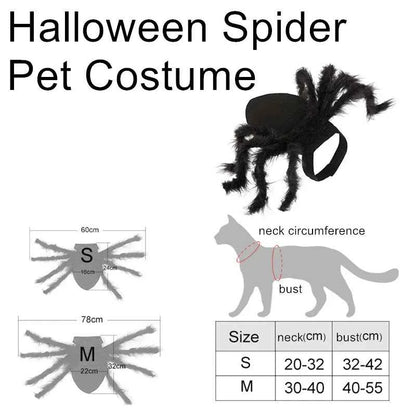 Spider Halloween Costume for Dogs & Cats
