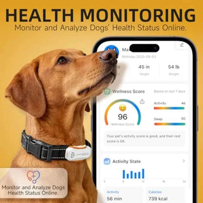 AI GPS Tracker for Dogs 30lbs+ Real Time Location and AI Health Assistant Electronic Fence Waterproof iOS and Android Universal