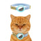 Skyblue N GPS Holder