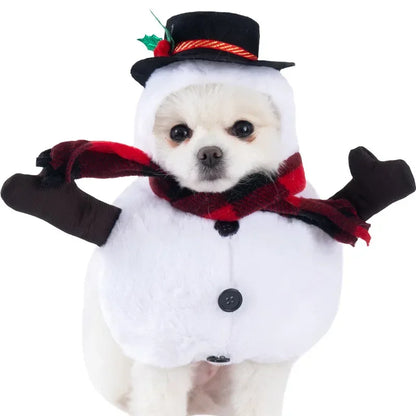 Funny Halloween Pet Costume for Small/Medium Dogs & Cats - Adjustable Puppy Cosplay for French Bulldogs, Chihuahuas & More