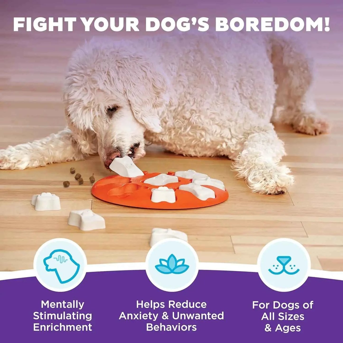Level 1 Dog Treat Puzzle Toy – Beginner Interactive Mental Stimulation Game