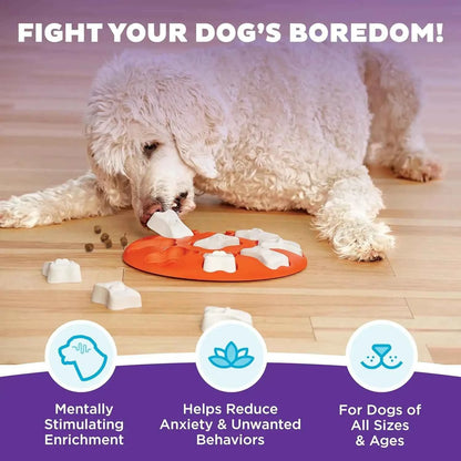 Level 1 Dog Treat Puzzle Toy – Beginner Interactive Mental Stimulation Game