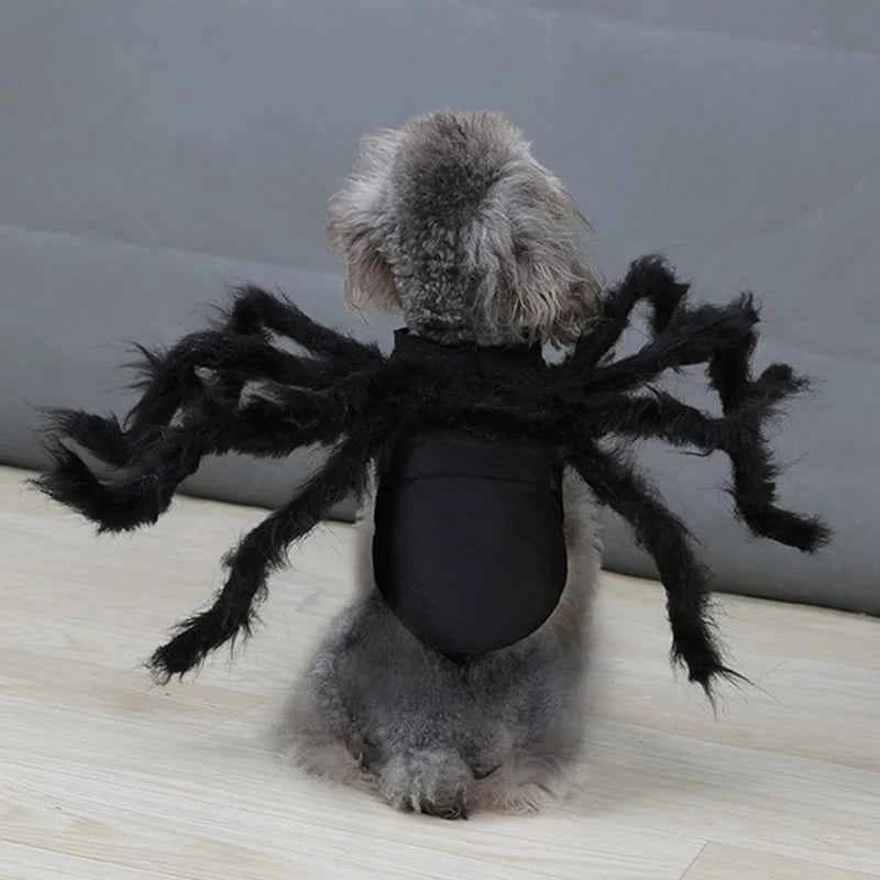 Spider Halloween Costume for Dogs & Cats