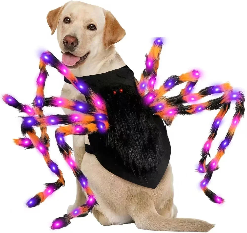 LED Light-Up Spider Dog Halloween Costume