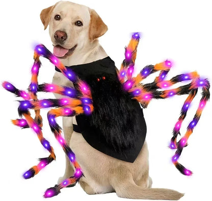 LED Light-Up Spider Dog Halloween Costume