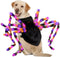 LED Spider Set