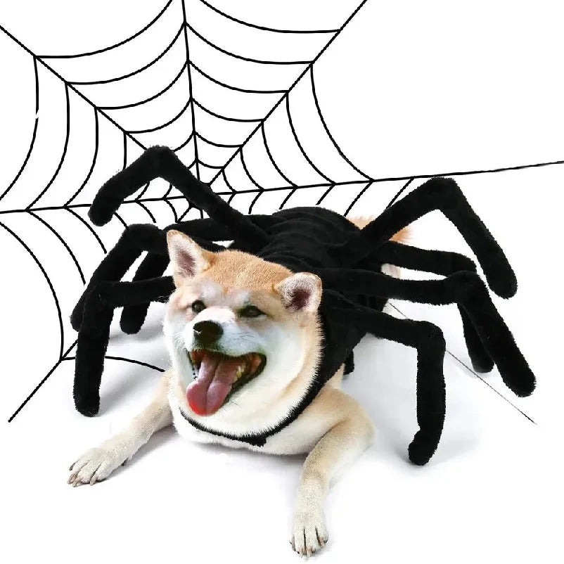 Spider Halloween Costume for Small & Medium Pets