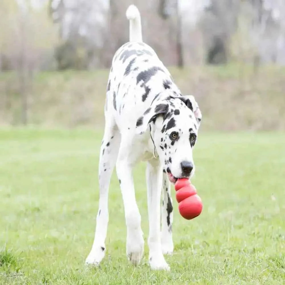 New Classic Kong Dog Stuffable Erratic Bounce Kong Puppy Durable Rubber Chew