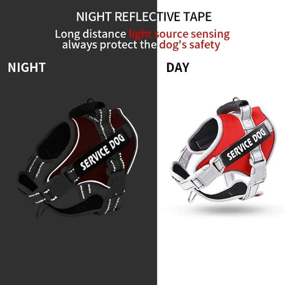 Reflective Custom Dog Harness – Add Pet Name & Phone Number