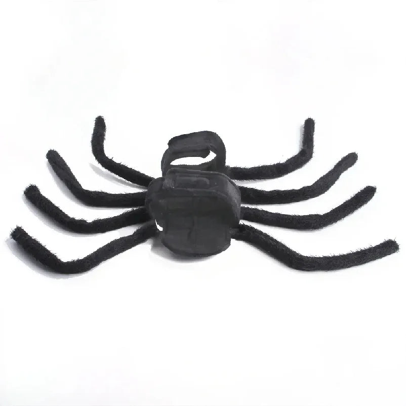 Spider Halloween Costume for Small & Medium Pets