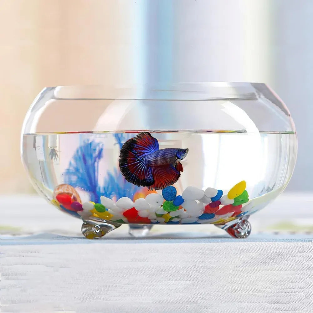 2-Gallon Round Glass Fish Tank Aquarium for Betta Fish, Small Fish & Reptiles