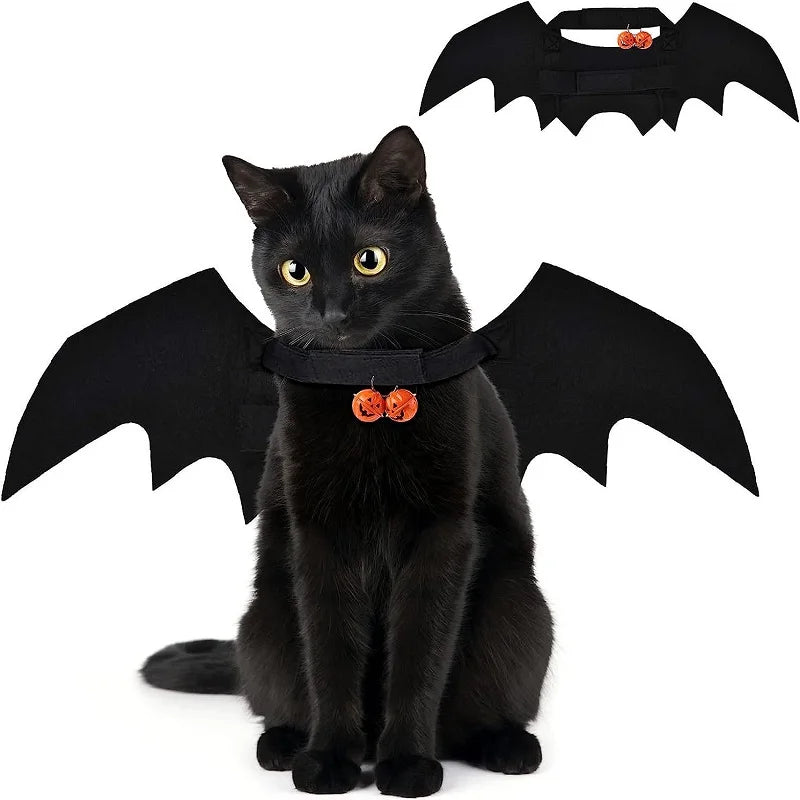 Bat Wing Cat & Dog Halloween Costume