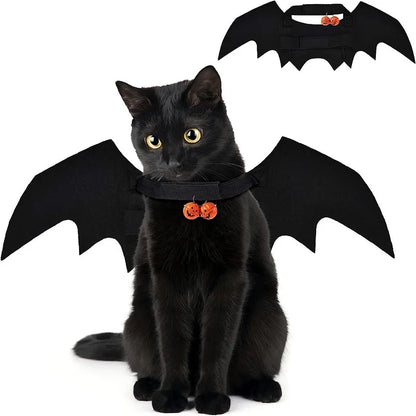 Bat Wing Cat & Dog Halloween Costume