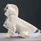 White raincoat