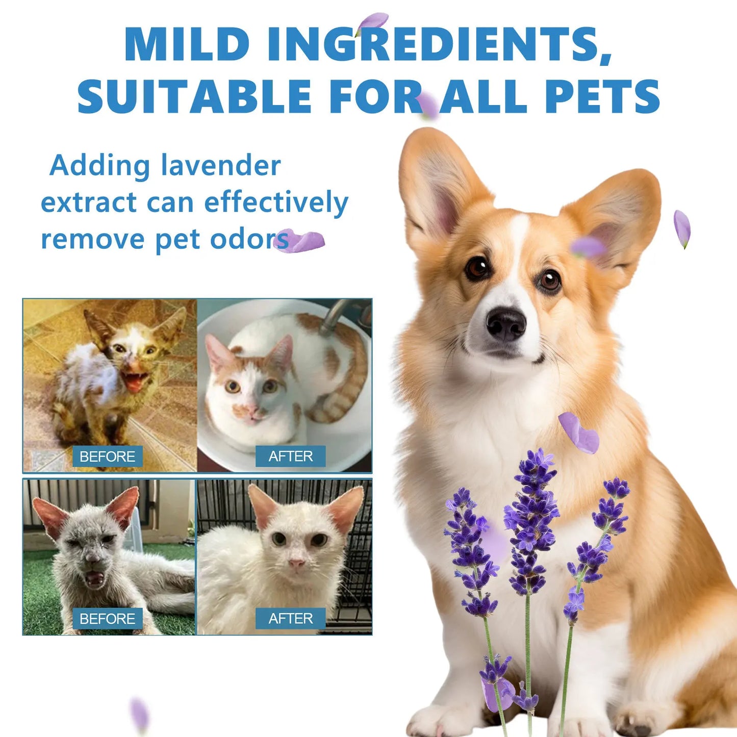 Pet Wash Free Essence Dog Body Wash Hair Softening Removing Dirts Mites Deodorizing Reduce Itching Moisturizing Puppy Shampoo