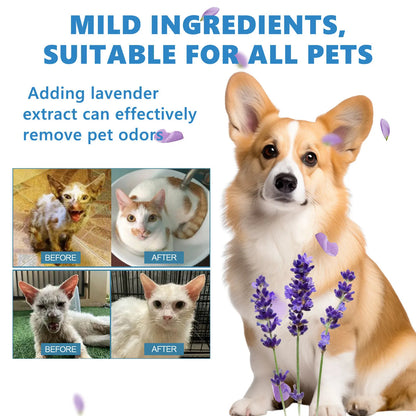 Pet Wash Free Essence Dog Body Wash Hair Softening Removing Dirts Mites Deodorizing Reduce Itching Moisturizing Puppy Shampoo